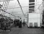 On the deck of the SS Mexico