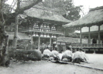 Ceremony at Kioto
